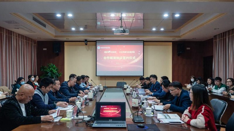 VI设计价格差异之谜：揭秘背后的原因